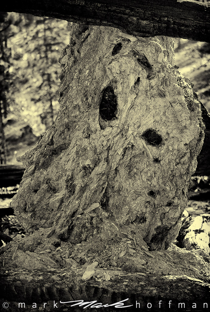 Thing